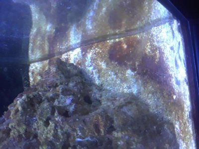 20191001_124932.jpg