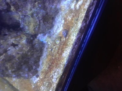 20191001_124924.jpg