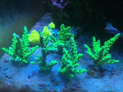 thumbnail_IMG_0815[1].jpg