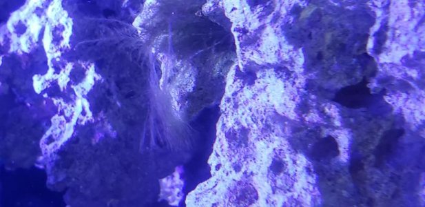 20190515_160409.jpg