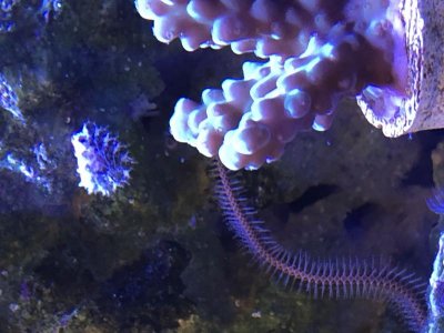 IMG_0044.jpg