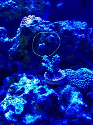 IMG_0046.jpg