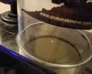 20191006_211002.jpg