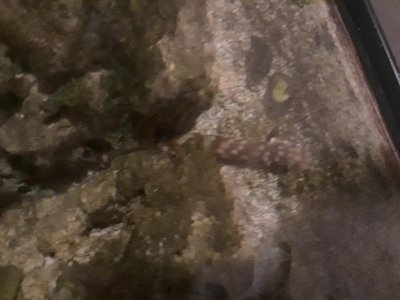 20191007_002456.jpg