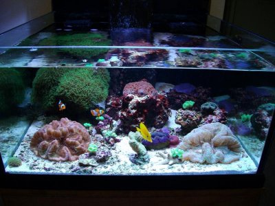 37 GAL SIDE VIEW 1-26-09 (2).jpg