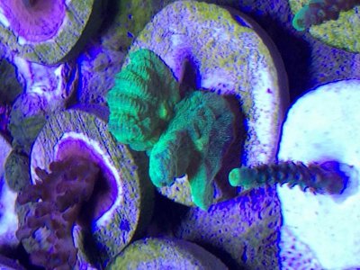 59242574015__77631A8C-AA6C-4914-9E6D-95811E36ED44.jpg