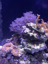 IMG_0303.JPG