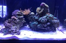 IMG_0294.JPG