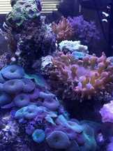 IMG_0301.JPG