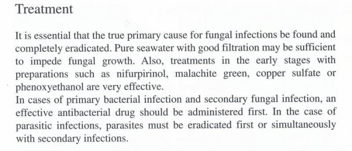 Bassler p41 Treatment.jpg