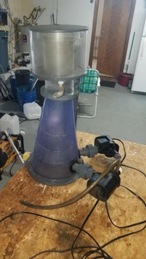 Skimmer 3.jpg