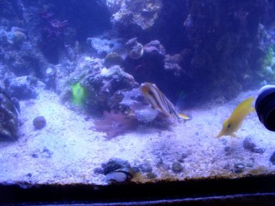 P1010528_1.jpg