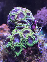 IMG_0322.jpg