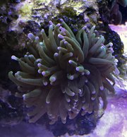 IMG_0321.jpg