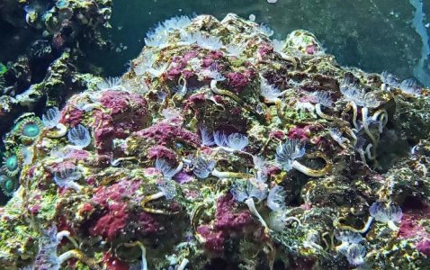 c 3-9-19 015_edited-2.jpg