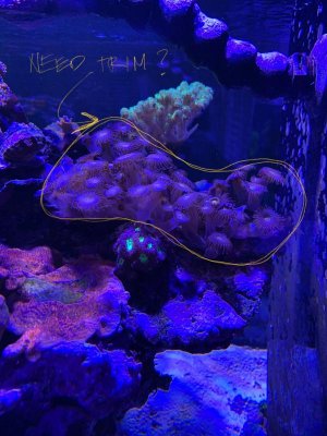 D07672E7-68A5-4BE8-A3D1-D2F2BC191D54.jpg