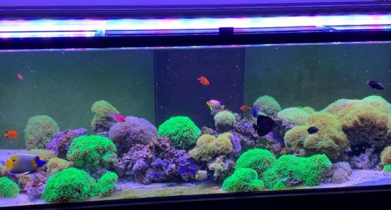 full tank 1-1-2020r.jpg