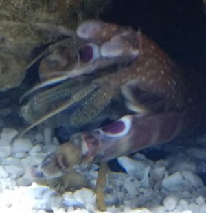IMG_20200120_125313508~2.jpg