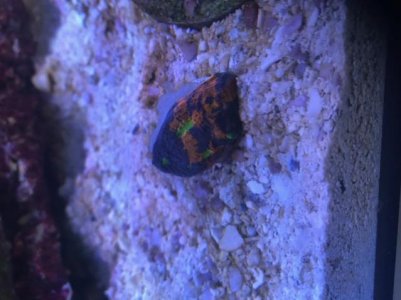 IMG_2377.jpg