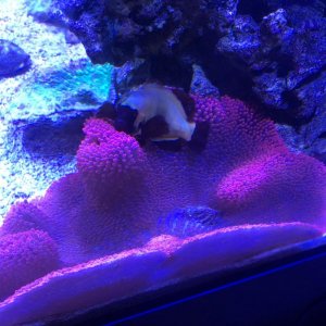 IMG_1853.jpg