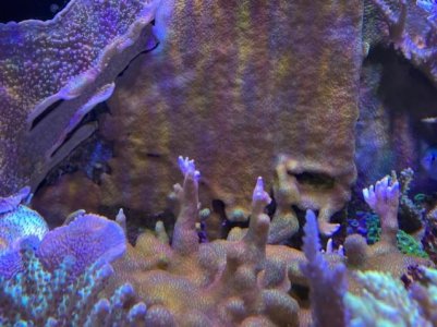 A8F32A42-E775-4C0D-97F7-A7CAEC486B59.jpg