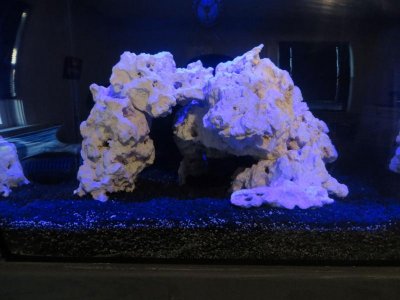 reef central1.jpg