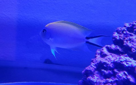 2019-12-09_12-39-28.jpg
