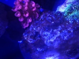 4100ED89-A873-4C61-AF45-E36B7AEA7D74.jpeg