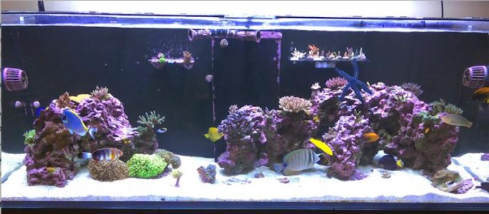 Screen Shot 2019-12-15 at 3.31.15 PM.jpg