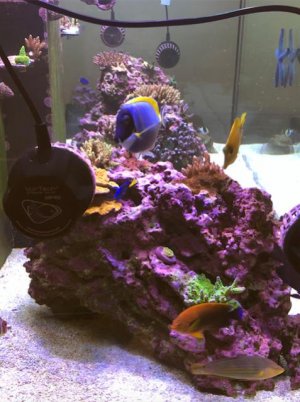 Screen Shot 2019-12-15 at 6.14.01 PM.jpg