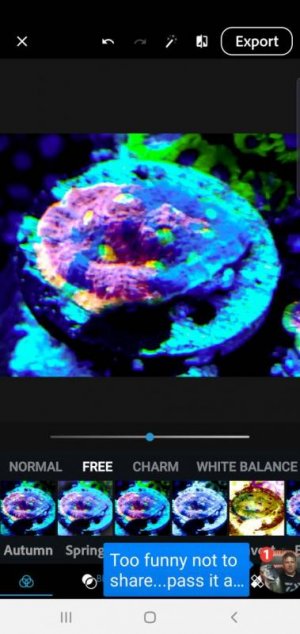 Screenshot_20191216-134730_Photoshop Express.jpg