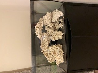 Dryrock in Tank.JPG