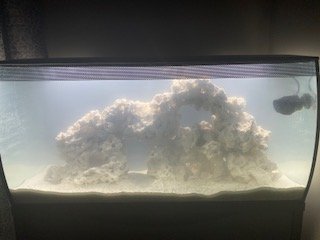 First Pic with Water.jpg