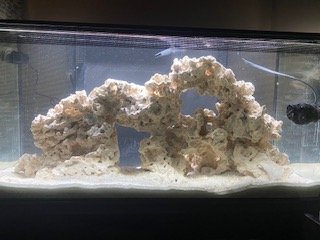 Full Lighting LED.jpg
