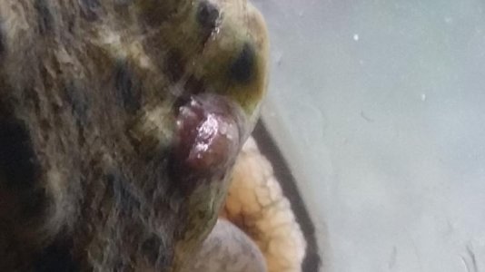 20191227_144709.jpg
