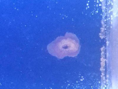 20191227_153010.jpg