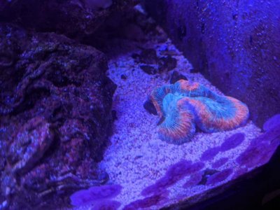 IMG_20191229_111847.jpg IMG_20191229_111847.jpg