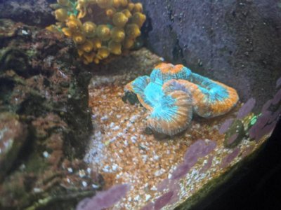 IMG_20191210_193310.jpg IMG_20191210_193310.jpg