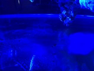 30424802-E366-4A19-9697-B0B7E6DB4200.jpeg