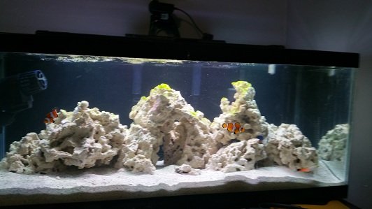 tank full view.jpg