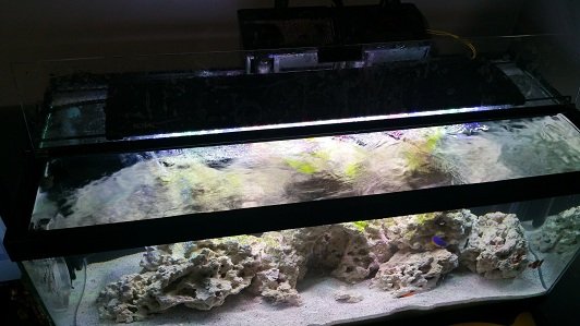 tank photo top.jpg