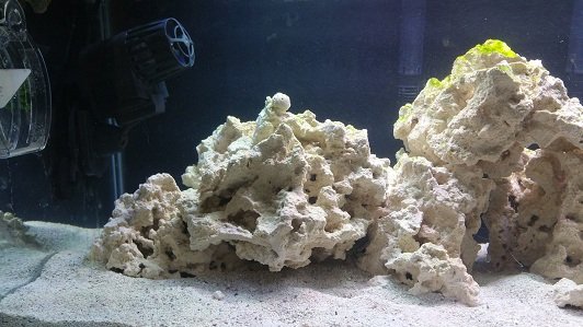 tank photo left.jpg