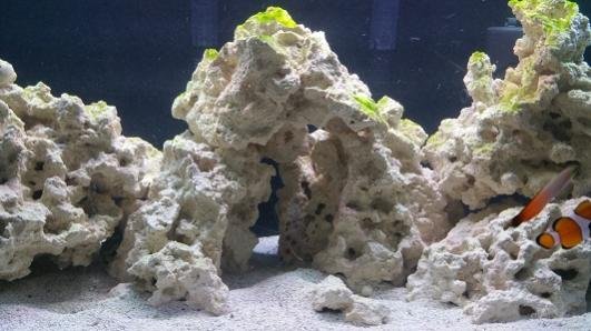 tank photo middle.jpg
