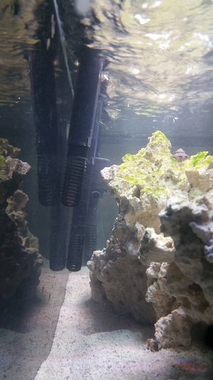 tank back 1.jpg