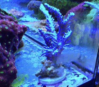 58612E28-F2F5-4EE5-AC62-4EF6CC7CB5F4.jpg