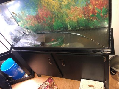 aquarium crack.jpeg