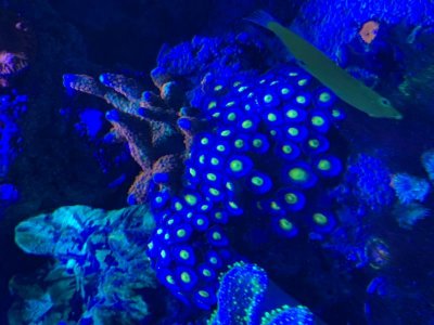 IMG_8736.jpg IMG_8736.jpg