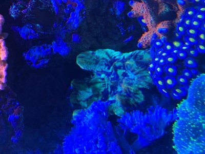 IMG_8737.jpg IMG_8737.jpg