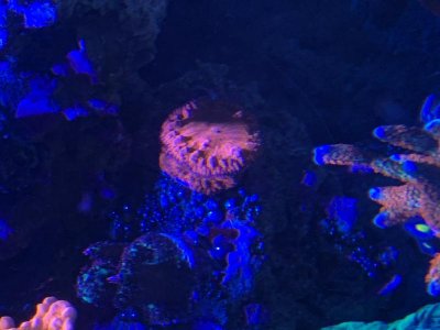 IMG_8753.jpg IMG_8753.jpg