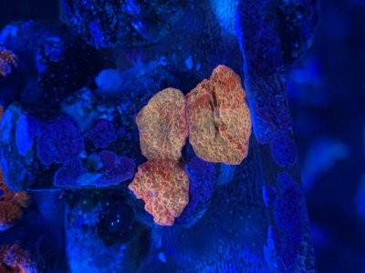 IMG_8754.jpg IMG_8754.jpg